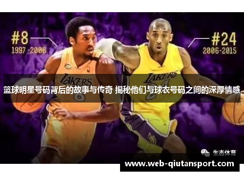 篮球明星号码背后的故事与传奇 揭秘他们与球衣号码之间的深厚情感