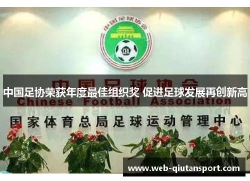 中国足协荣获年度最佳组织奖 促进足球发展再创新高