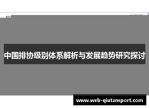 中国排协级别体系解析与发展趋势研究探讨